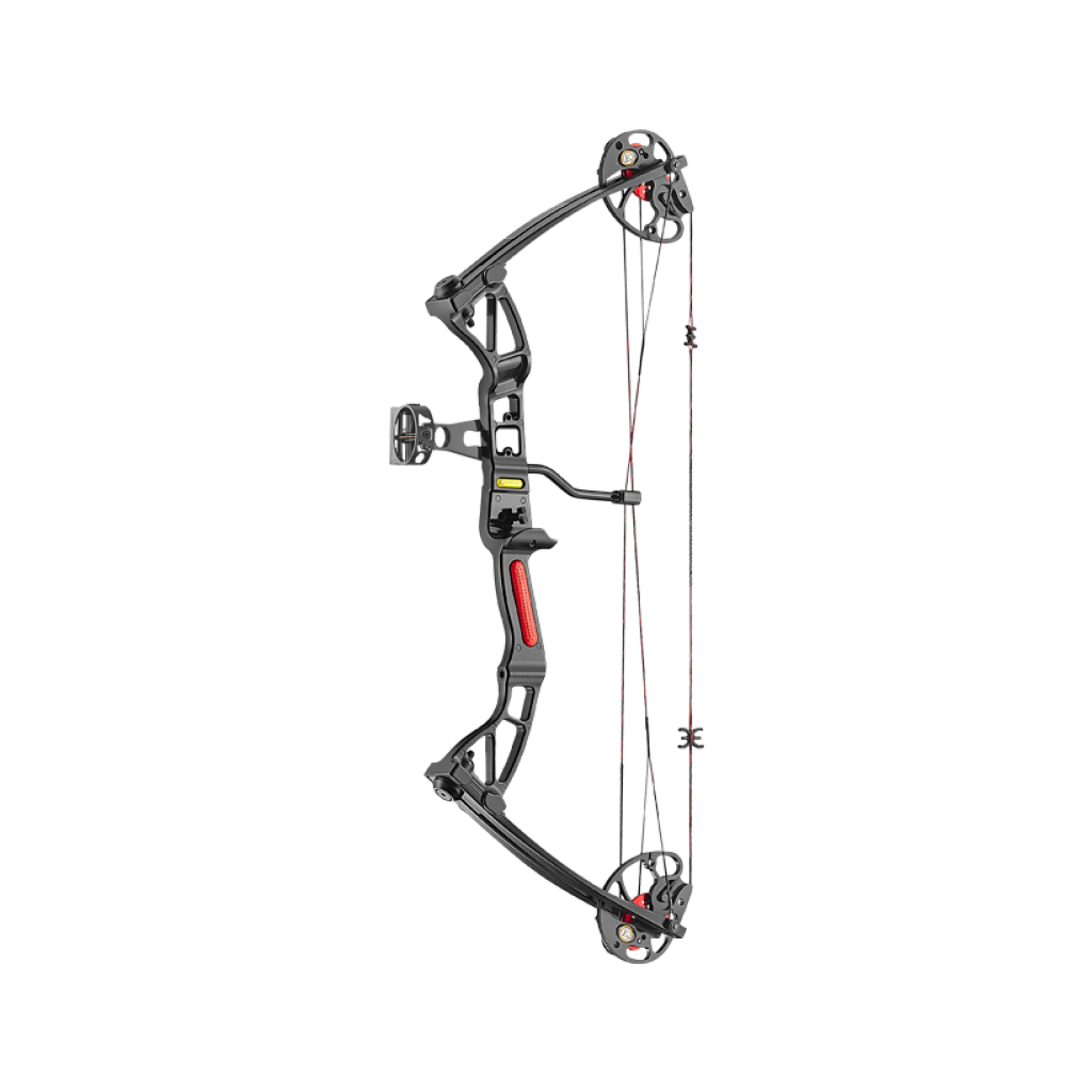 Compound boog Rex set 10–29 lbs