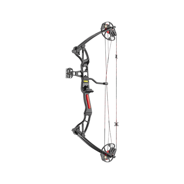 Compound boog Rex set 10–29 lbs